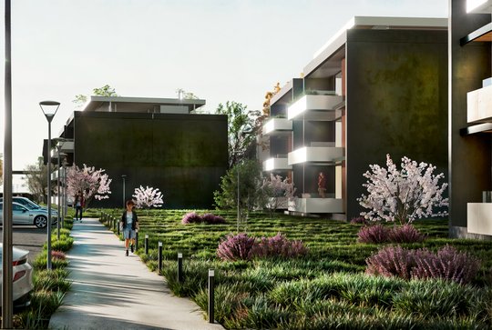 Foto del proyecto