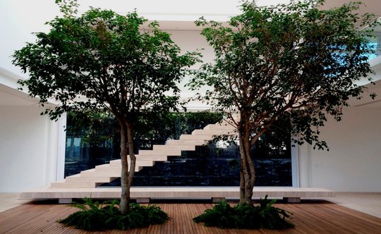 Escalera con árboles y doble altura, diseño minimalista contemporáneo — proyecto Residência HC, por Gil Fialho