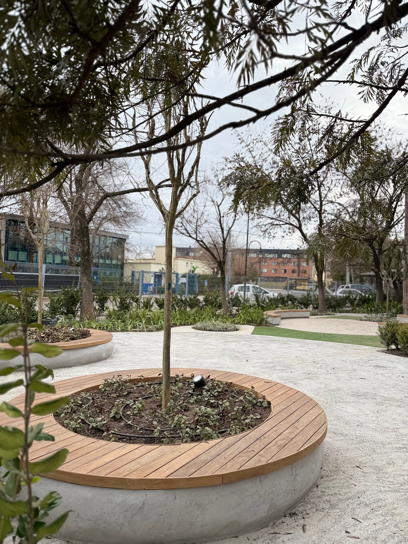 Jardín urbano con asientos de madera integrados en maceteros de hormigón — proyecto COLEGIO ST MARY OF THE HILLS PRIMARIA, por Baires Green, en San Fernando