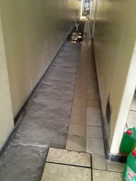 Foto del proyecto