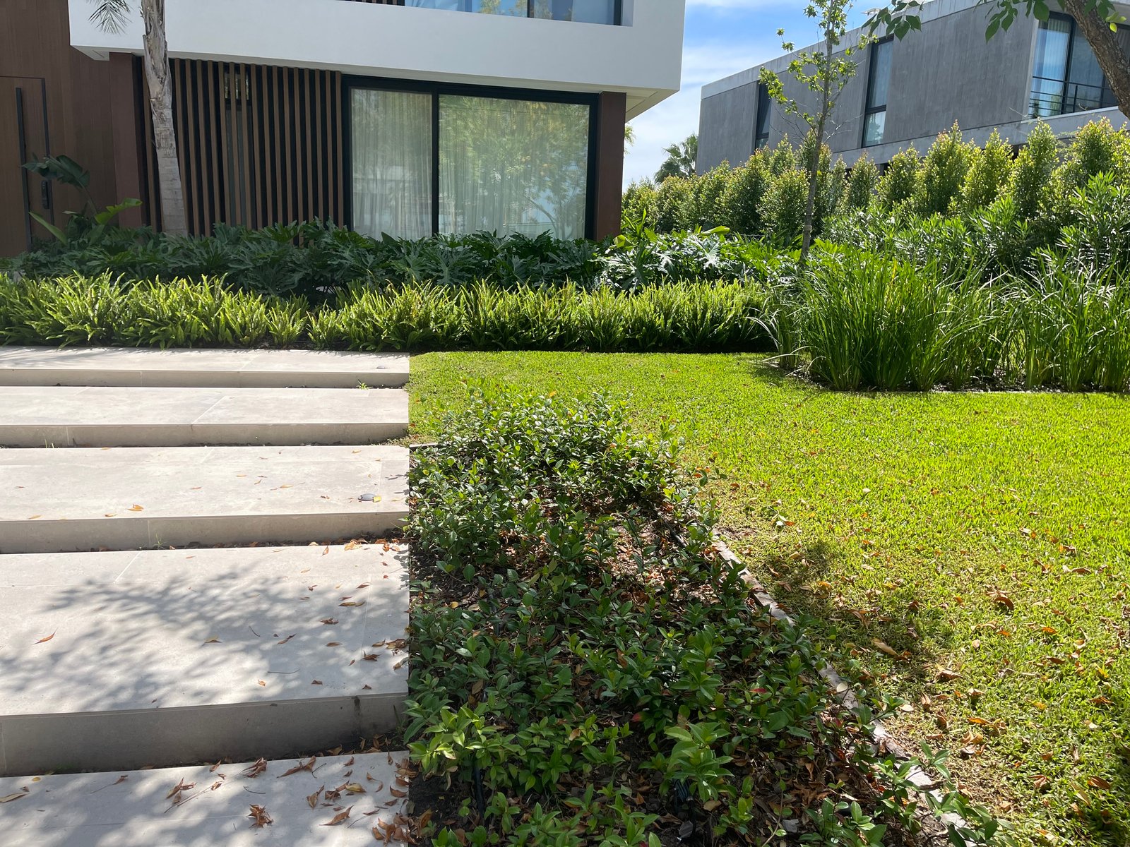 jardín moderno con escalones de piedra y vegetación — proyecto ALBANUEVA, por Baires Green, en B1648 Tigre