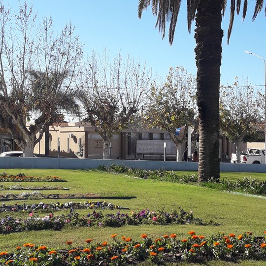 Foto del proyecto