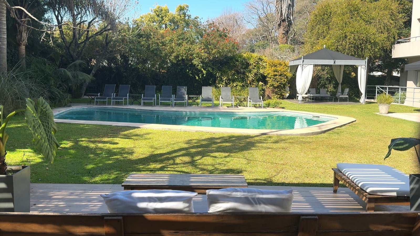 Amplia piscina moderna con área de descanso y jardín frondoso — proyecto Villa Isidro Hotel Boutique & Spa, por Hermann Arquitectos, en San Isidro