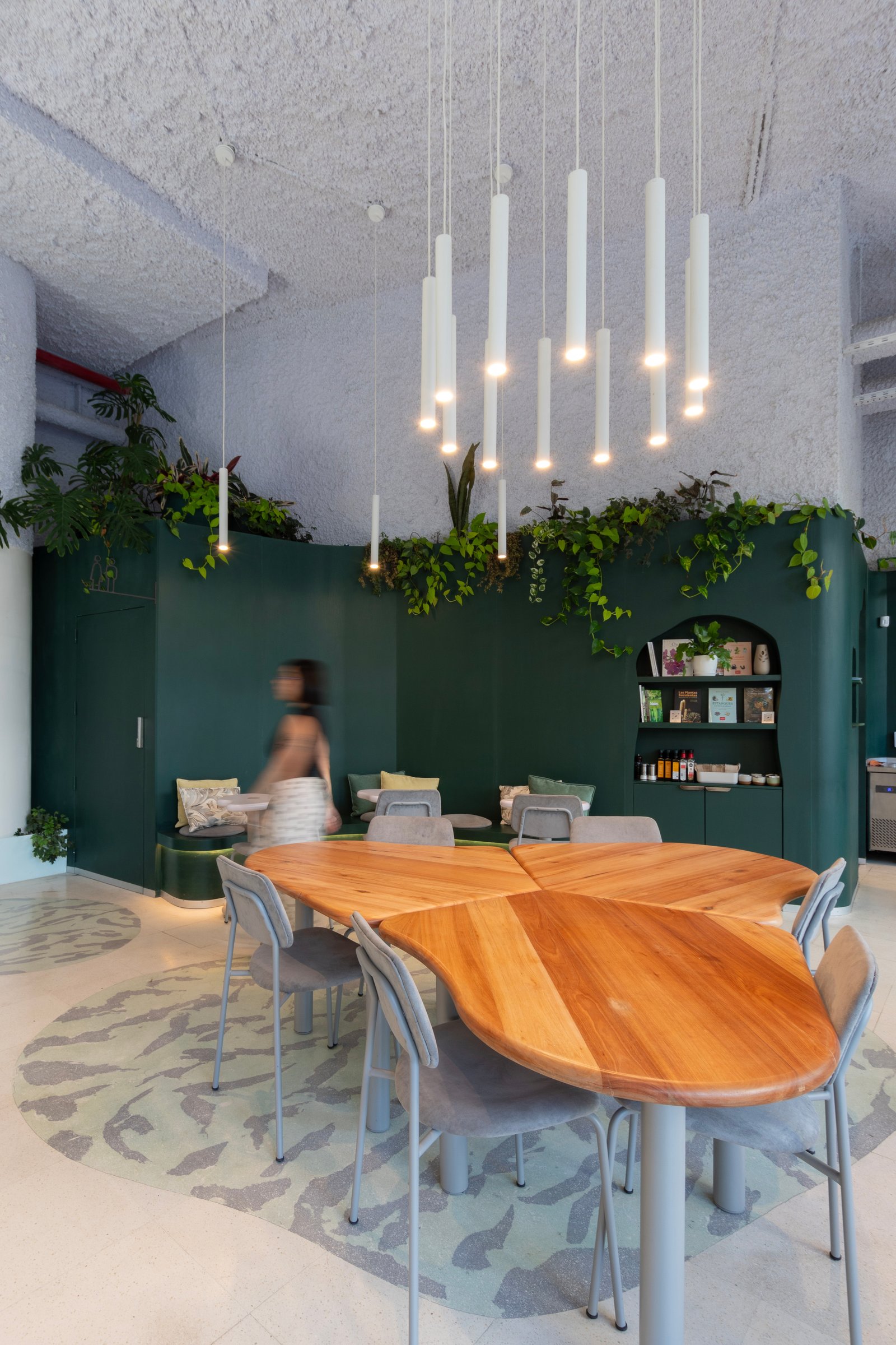 Comedor moderno con mesa de madera orgánica y vegetación colgante — proyecto Botanicafe, por KUPERDESIGN CONSTRUCCIONES SRL, en Av. Pres. Ramón Castillo