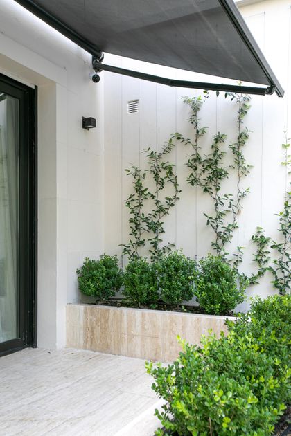 Terraza minimalista con toldo gris, jardin vertical y macetas de boj — proyecto ARQ. TOMAS MAGRANE, por uchimayfotos, en CABA