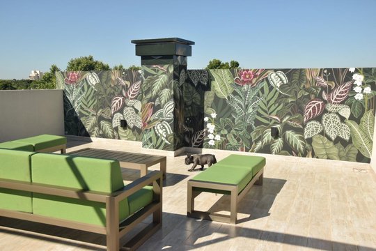 Foto del proyecto