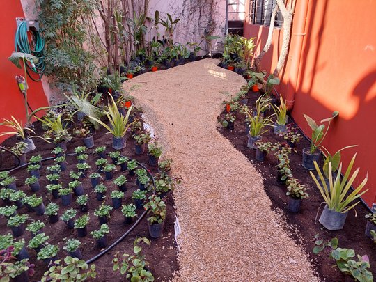 Foto del proyecto