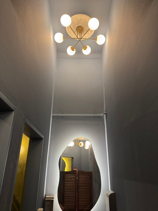 Foto del proyecto