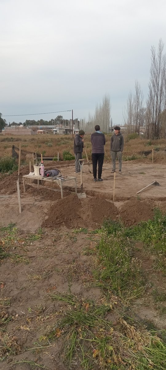 Foto del proyecto