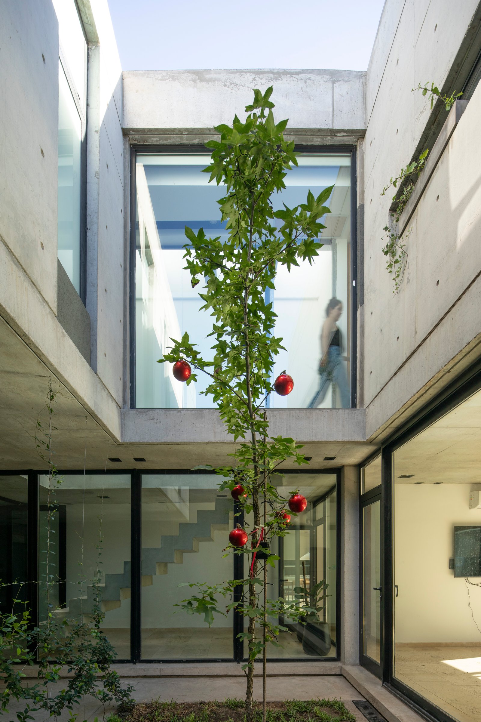 Casa moderna com pátio central de concreto e árvore com enfeites — projeto Casa MECHA, por Grupo CRBN, em B1712 Castelar
