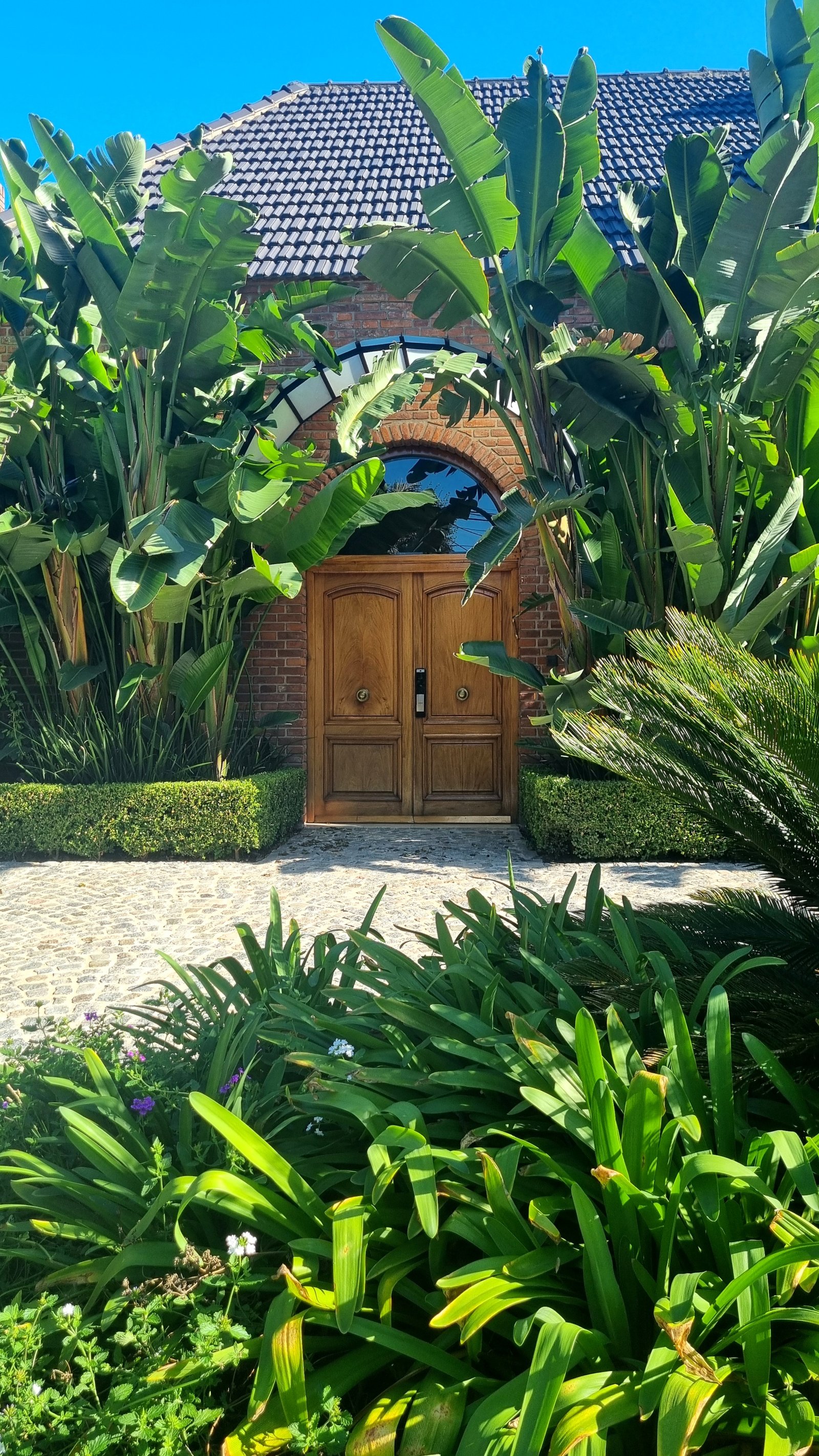 fachada mediterrânea com portas de madeira e vegetação exuberante — projeto Miraflores, por Marcela García Brünner Paisajista, em Ruta Panamericana KM 37