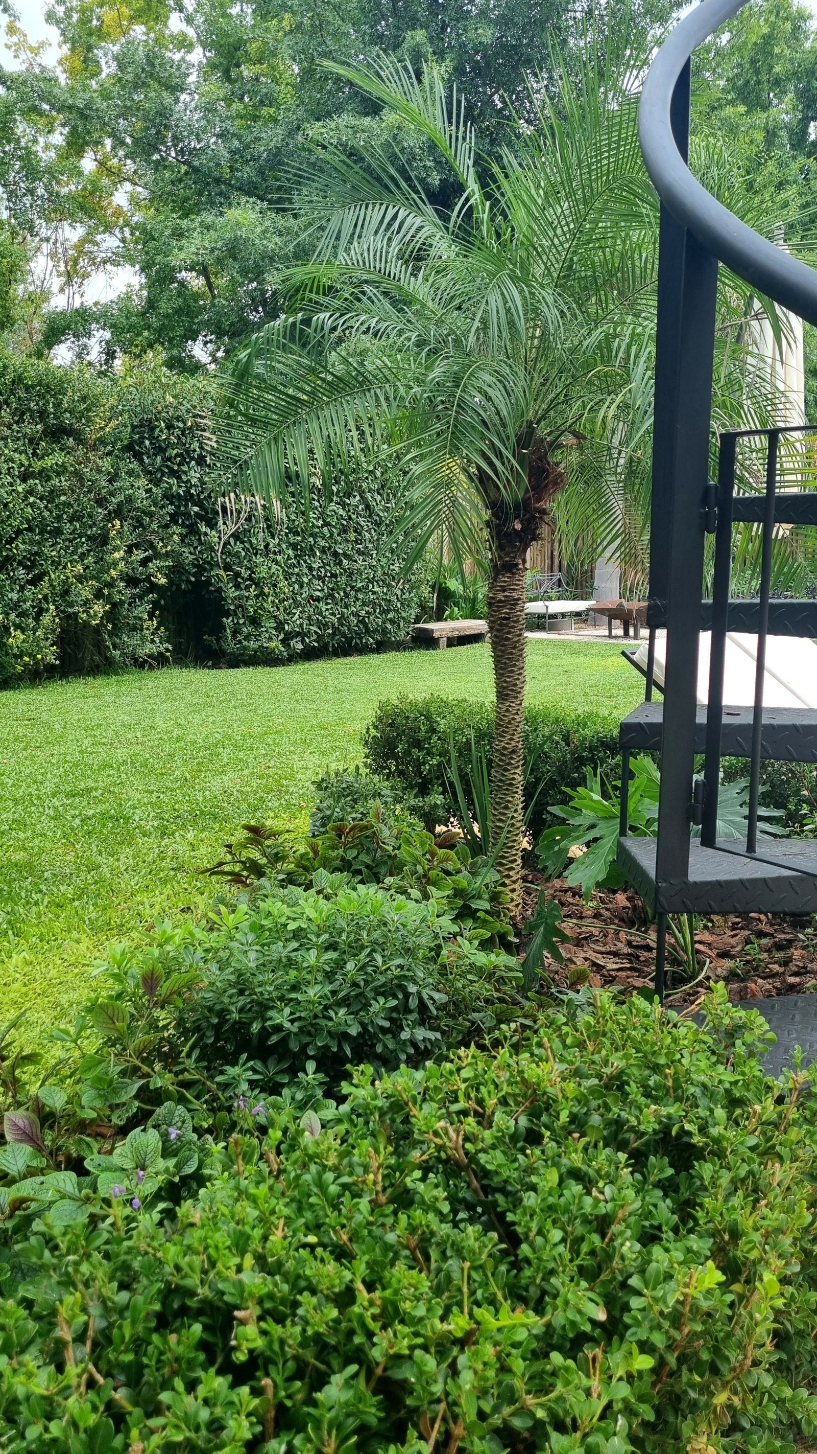 Jardín con césped, arbustos y escalera caracol negra — proyecto Barrio La Rinconada, por Marcela García Brünner Paisajista, en La Rinconada
