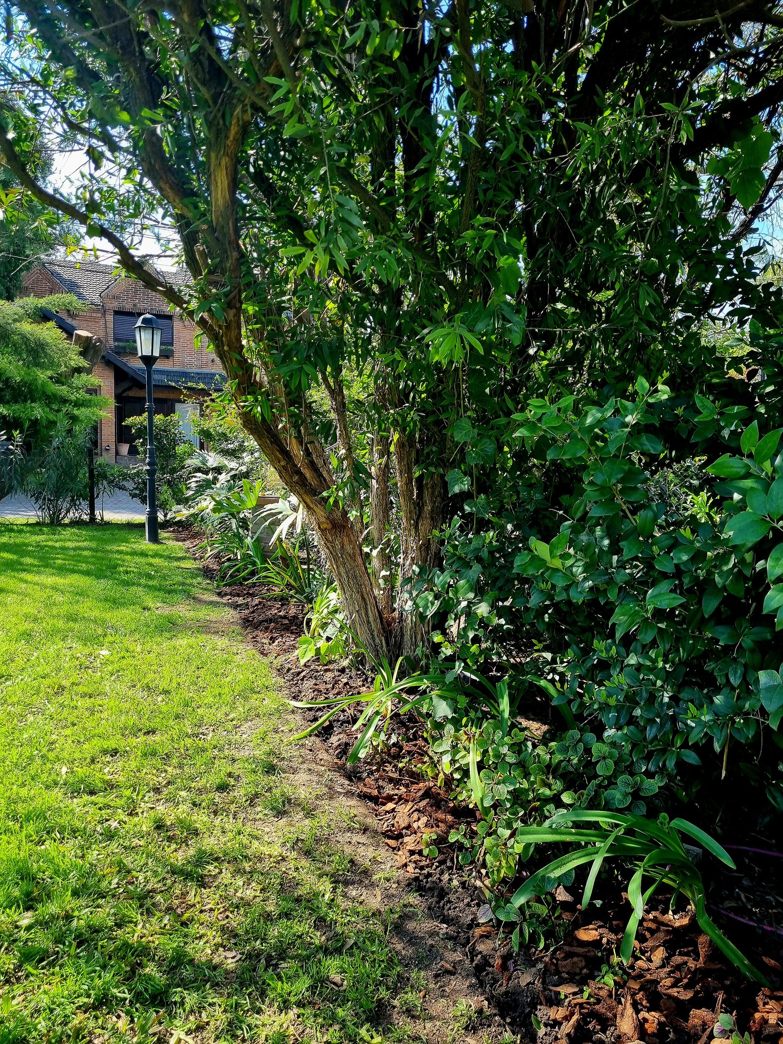 Jardim residencial com gramado, árvores e poste de luz antigo — projeto Miraflores, por Marcela García Brünner Paisajista, em Ruta Panamericana KM 37