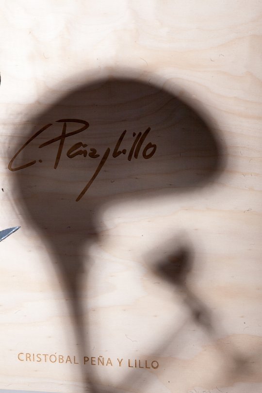 Foto del proyecto