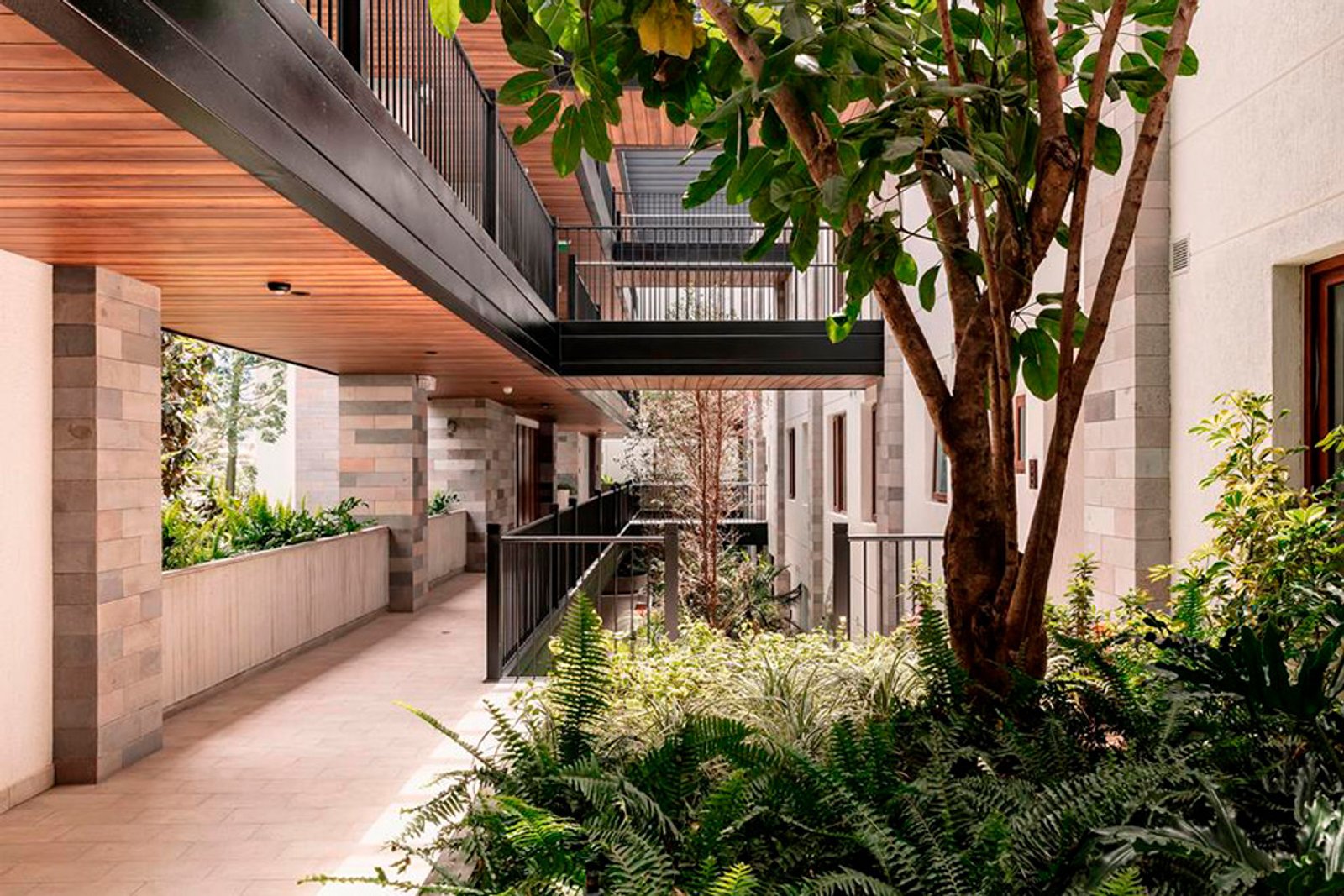 Espacio semi-exterior residencial moderno con vegetación integrada y detalles en madera y hormigón — proyecto Edificio Atria, por MUCHTEK, en Cumbayá