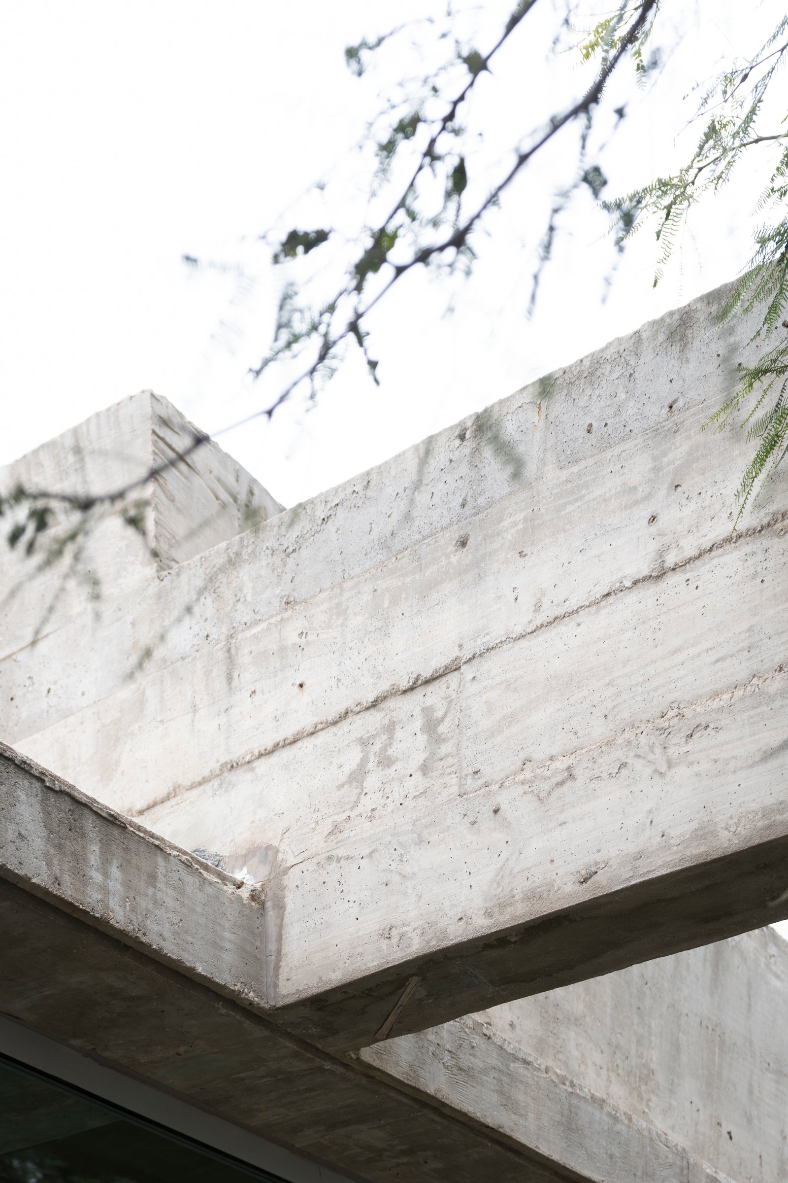 Fachada de concreto aparente com sombras de árvores — projeto CASA CHI, por Sol Blanc. arquitecta, em Córdoba