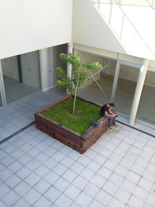 Foto del proyecto