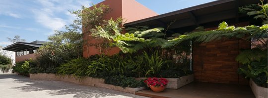 Foto del proyecto