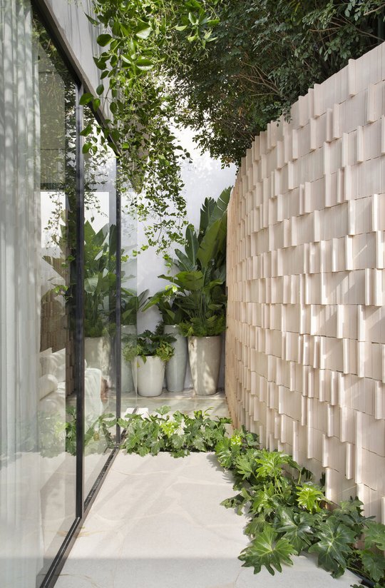 Foto del proyecto