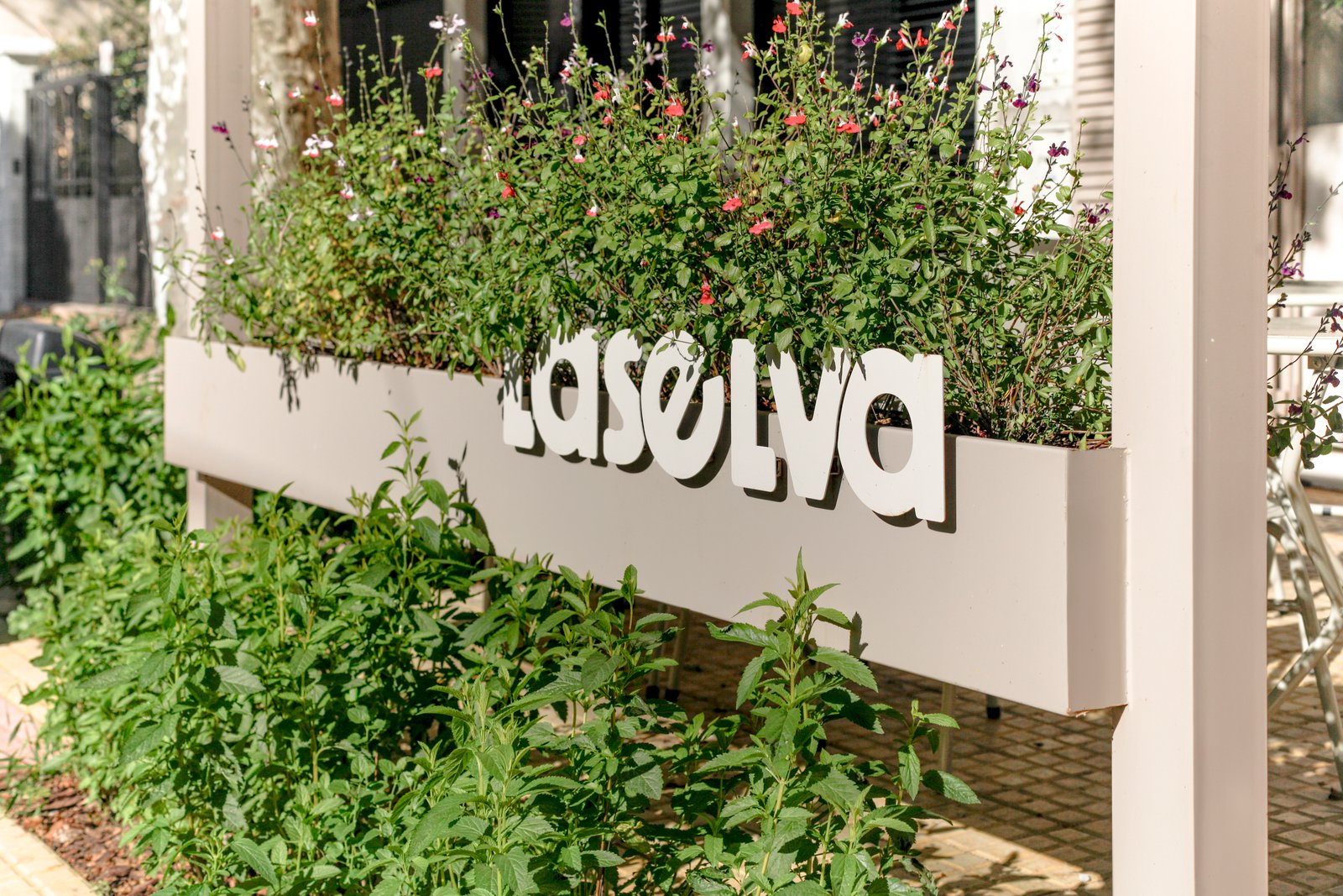 Patio moderno con cartel 'CASOLIVA' y vegetación exuberante — proyecto La Selva Yoga - Cafe, por Jeitinho Estudió Creativo, en La Plata