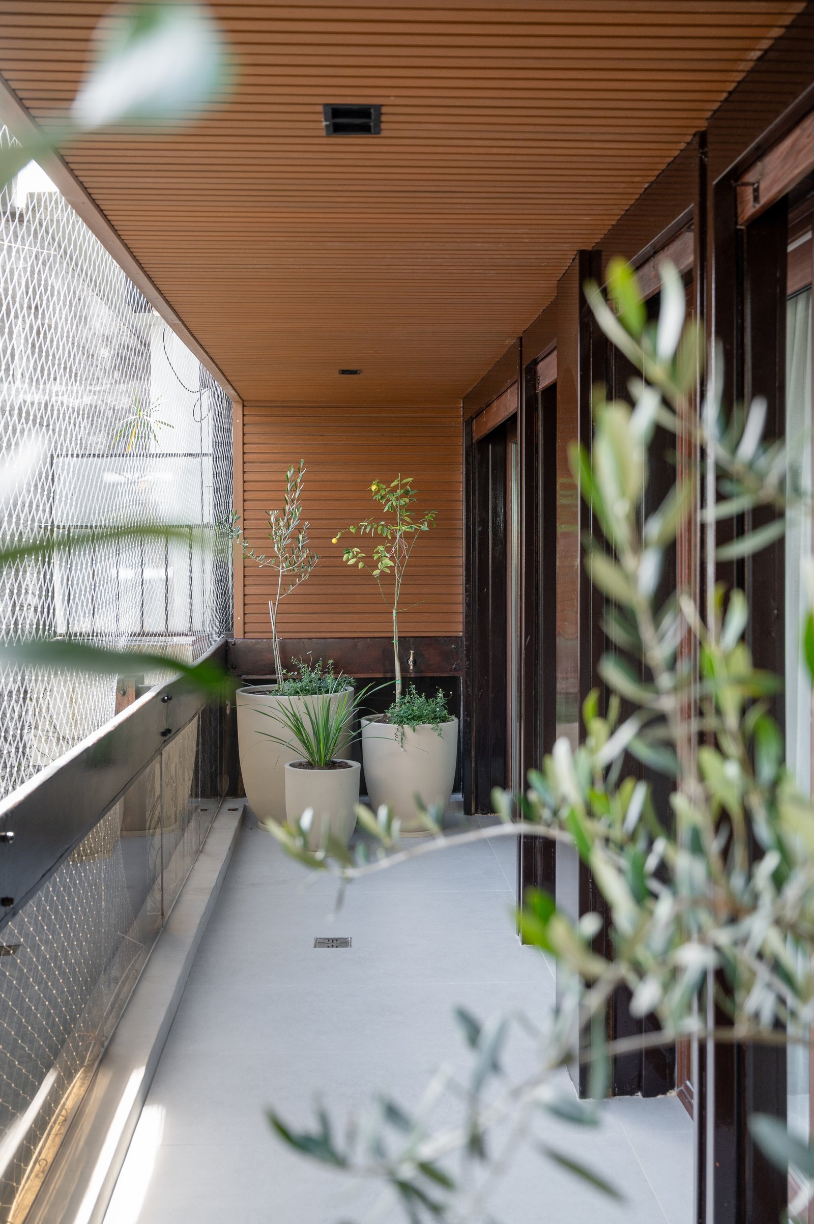 Varanda moderna com teto de madeira e plantas em vasos — projeto ALVEAR TYM, por AB ARQUITECTURA, em Recoleta