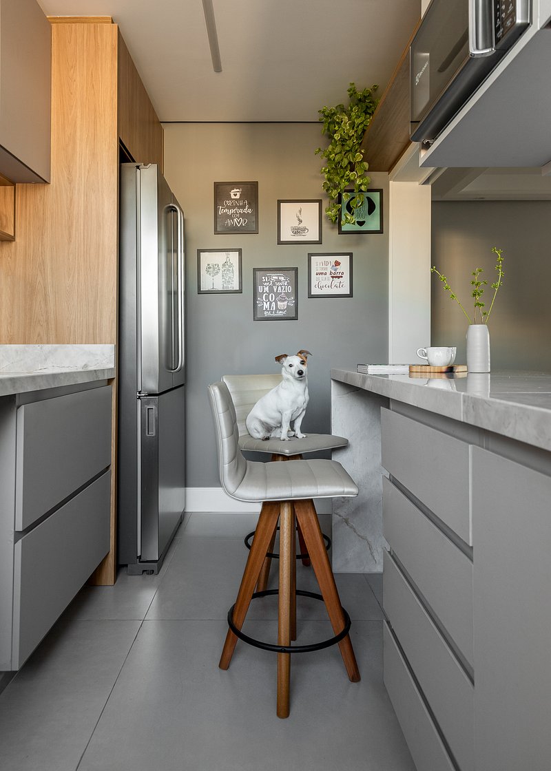 Pets: dicas de decoração para deixar seu animal seguro em casa