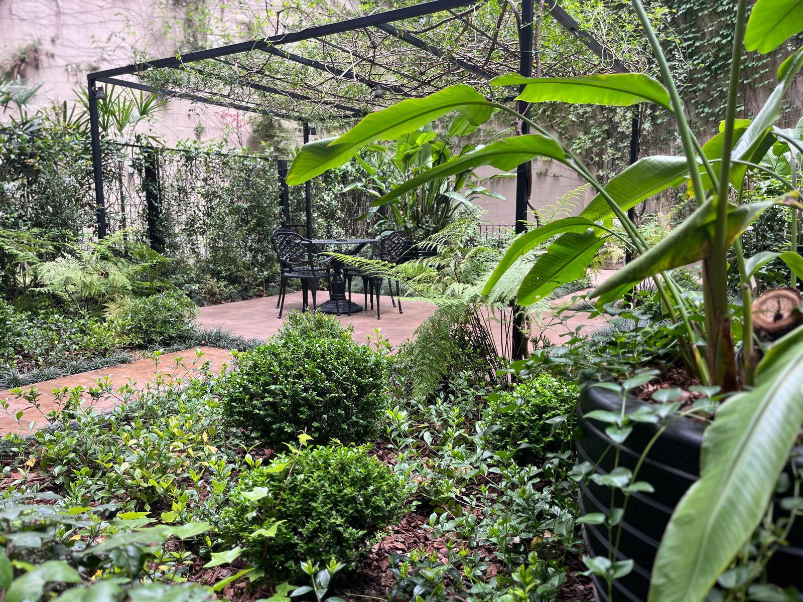 Pátio com pergolado preto e vegetação exuberante — projeto El Patio de los jazmines, por Estudio Gardenia, em Recoleta