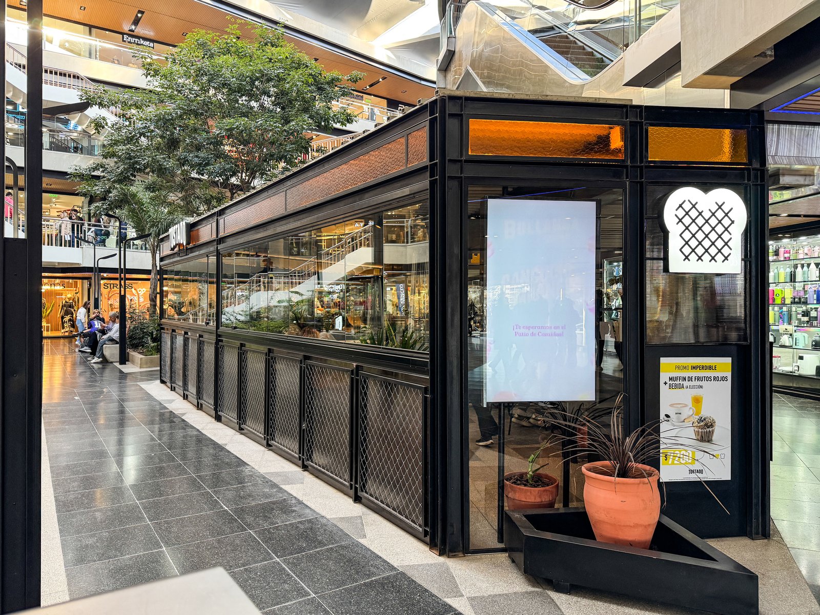 Local comercial moderno con fachada vidriada y vegetación interior — proyecto CAFE TOSTADO, por GARCIA RECTA DESIGN, en 25 de diciembre 70 8
