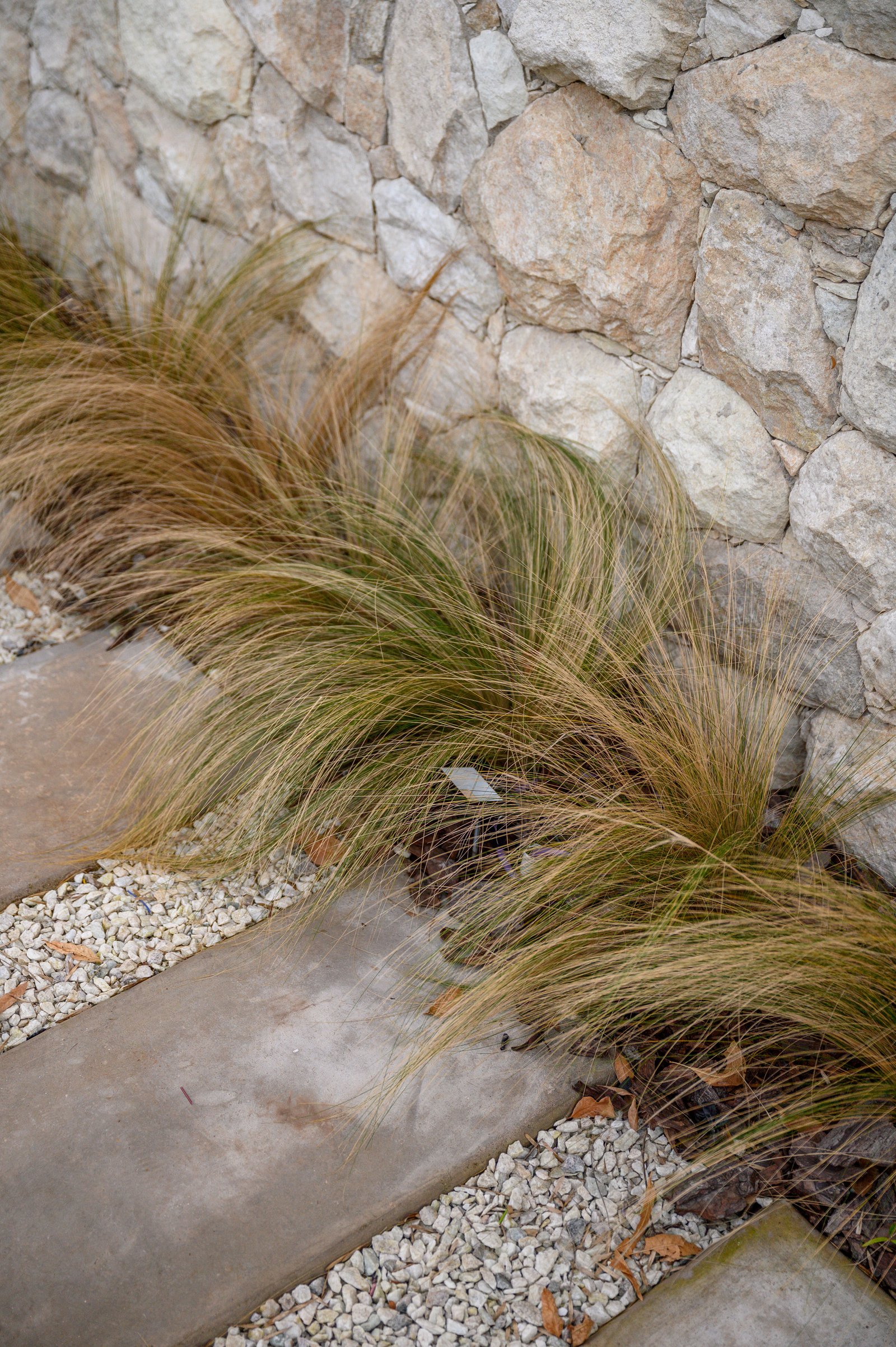 Pasto seco contra muro de piedra y camino de cemento — proyecto La Paloma :: Villa Allende - Córdoba :: Paisajismo Residencial :: STIPA Arte Nat, por STIPA Arte Natural, en Mendoza