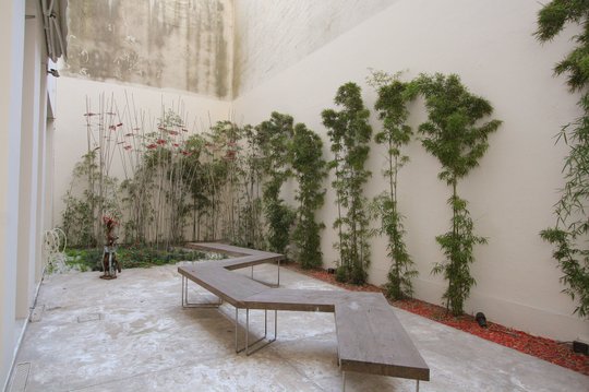 Foto del proyecto