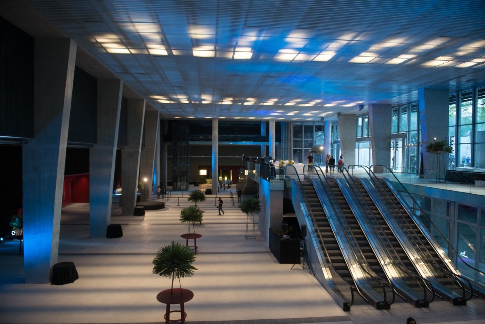Amplio interior moderno con escaleras mecánicas y luces azules — proyecto Jardín de la Recoleta, por PROTEX, en Buenos Aires