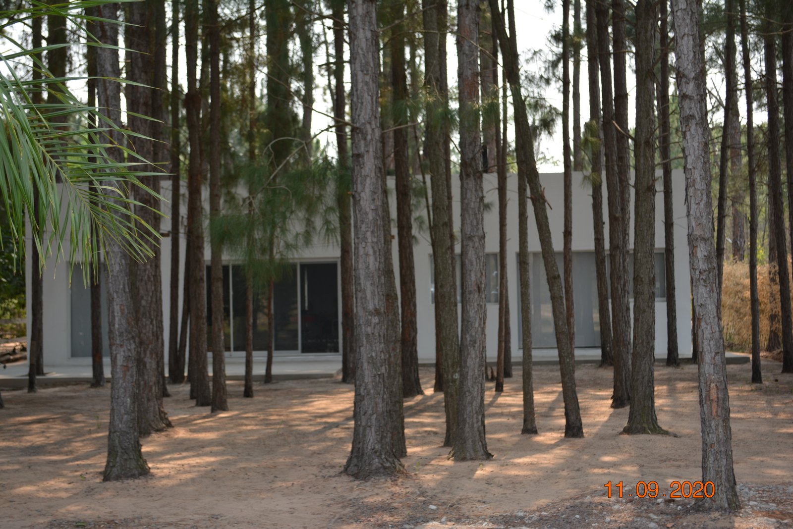 Casa moderna en el bosque con ventanales del suelo al techo — proyecto Casa en el Bosque, por Arquitecto Gustavo Maidana, en Santa Ana de los Guácaras