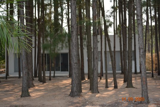 Foto del proyecto