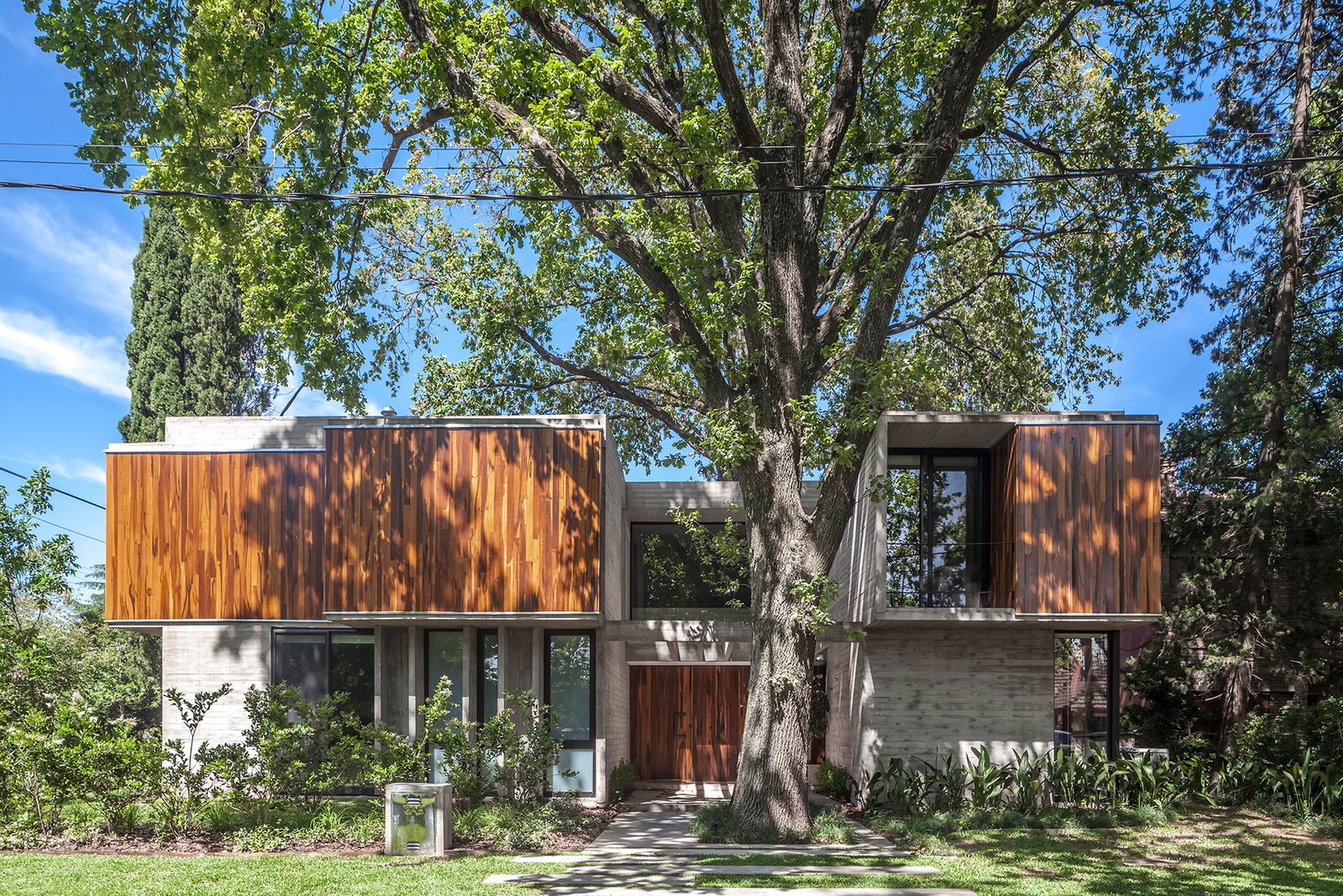Fachada moderna con lamas de madera y árbol grande — proyecto Casa Aranzazu, por Besonías Almeida arquitectos, en B1667 Tortuguitas