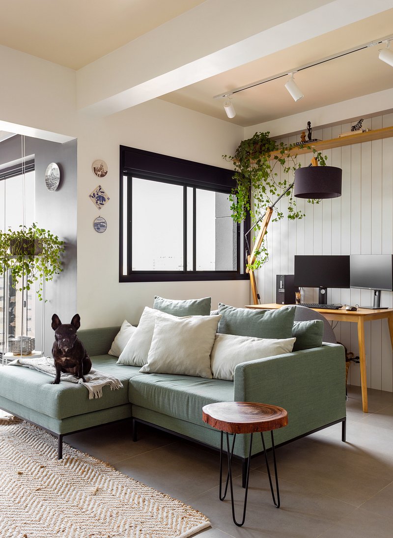 Pets: dicas de decoração para deixar seu animal seguro em casa