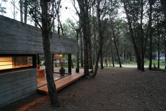 Foto del proyecto