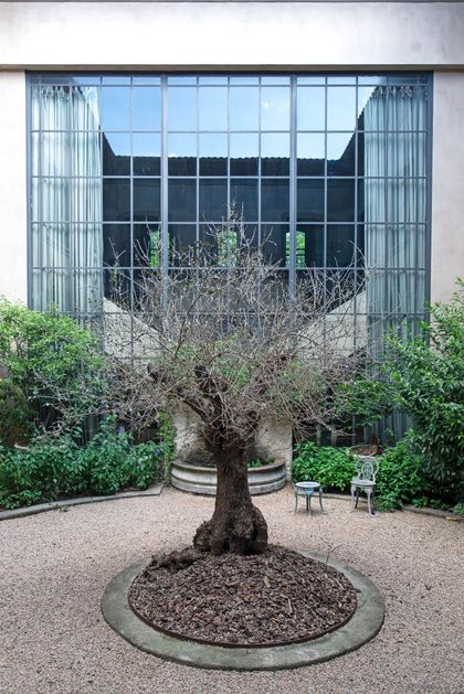 Árbol centenario en patio de hormigón frente a vidrieras modernas — proyecto Casa Toscana , por Estudio Du 