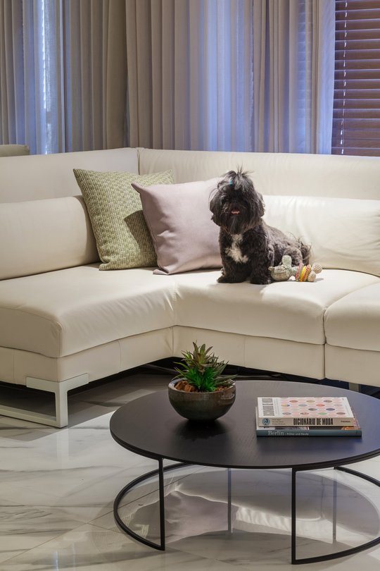 Living moderno con sofá curvo blanco, perro pequeño y mesa redonda negra — proyecto APARTAMENTO ZJ, por Frederico Bicalho Arquitetura