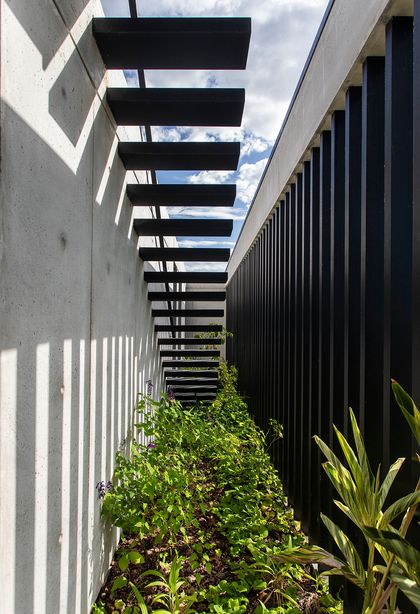 Pasillo de jardín moderno con pergola negra y vegetación tropical — proyecto CASA CONSERVATORIO, por GMARQ, en Belén de Escobar