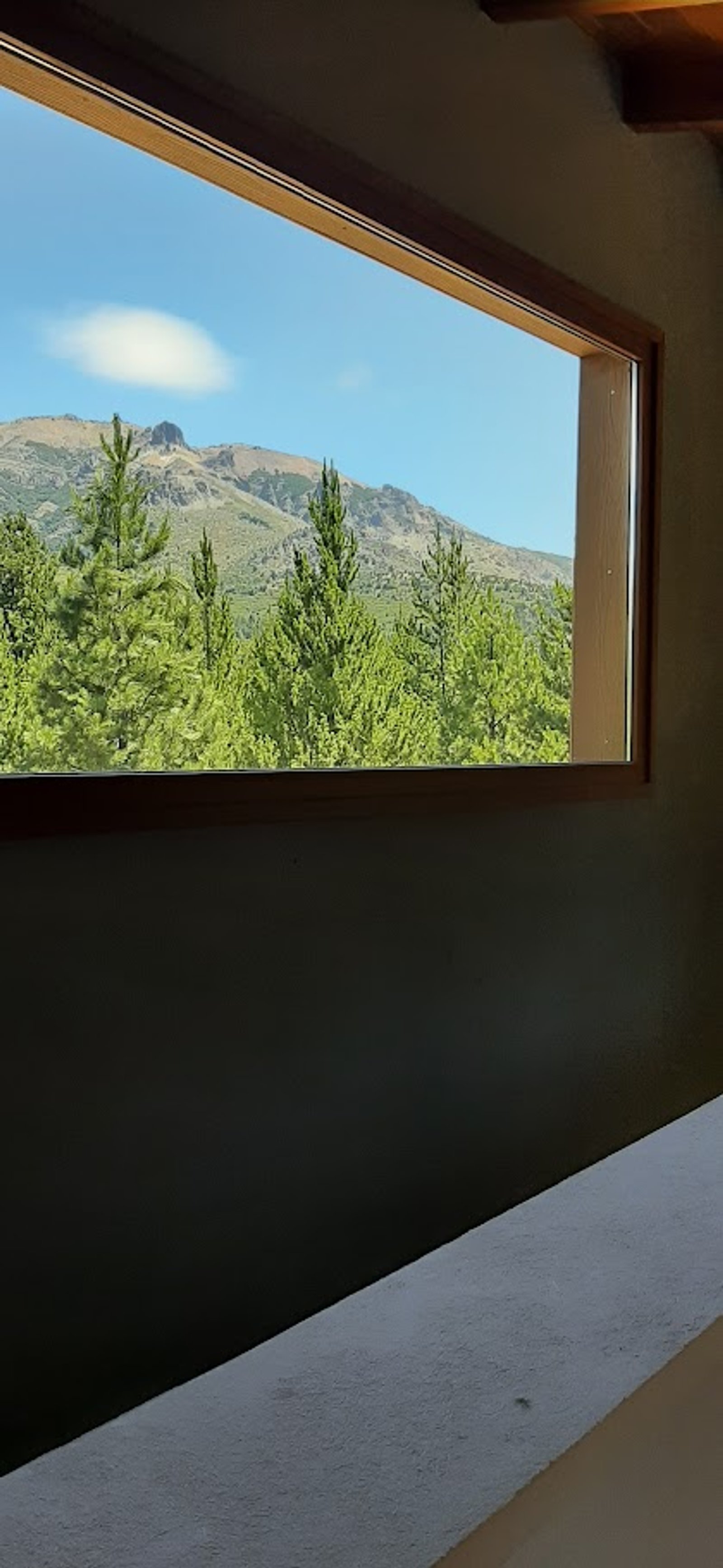 Ventanal con vista a montaña y bosque — proyecto Proyecto Casa SZ, por Arquitecta Grace Overgaard, en Acceso Al Challhuaco