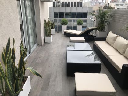 Terraza moderna urbana con deck y plantas — proyecto Obra Ugarte, por Estudio Nicolás Pierry, en CABA