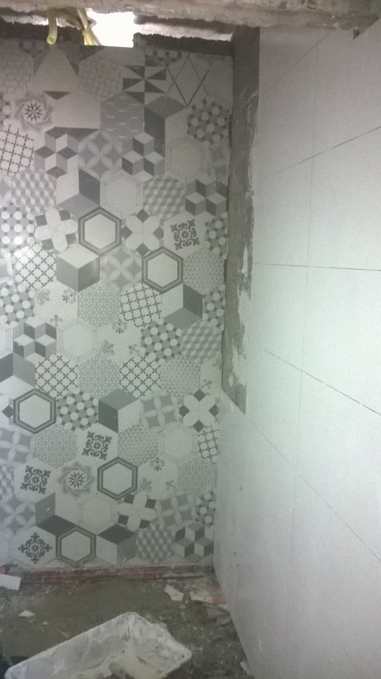 Foto del proyecto