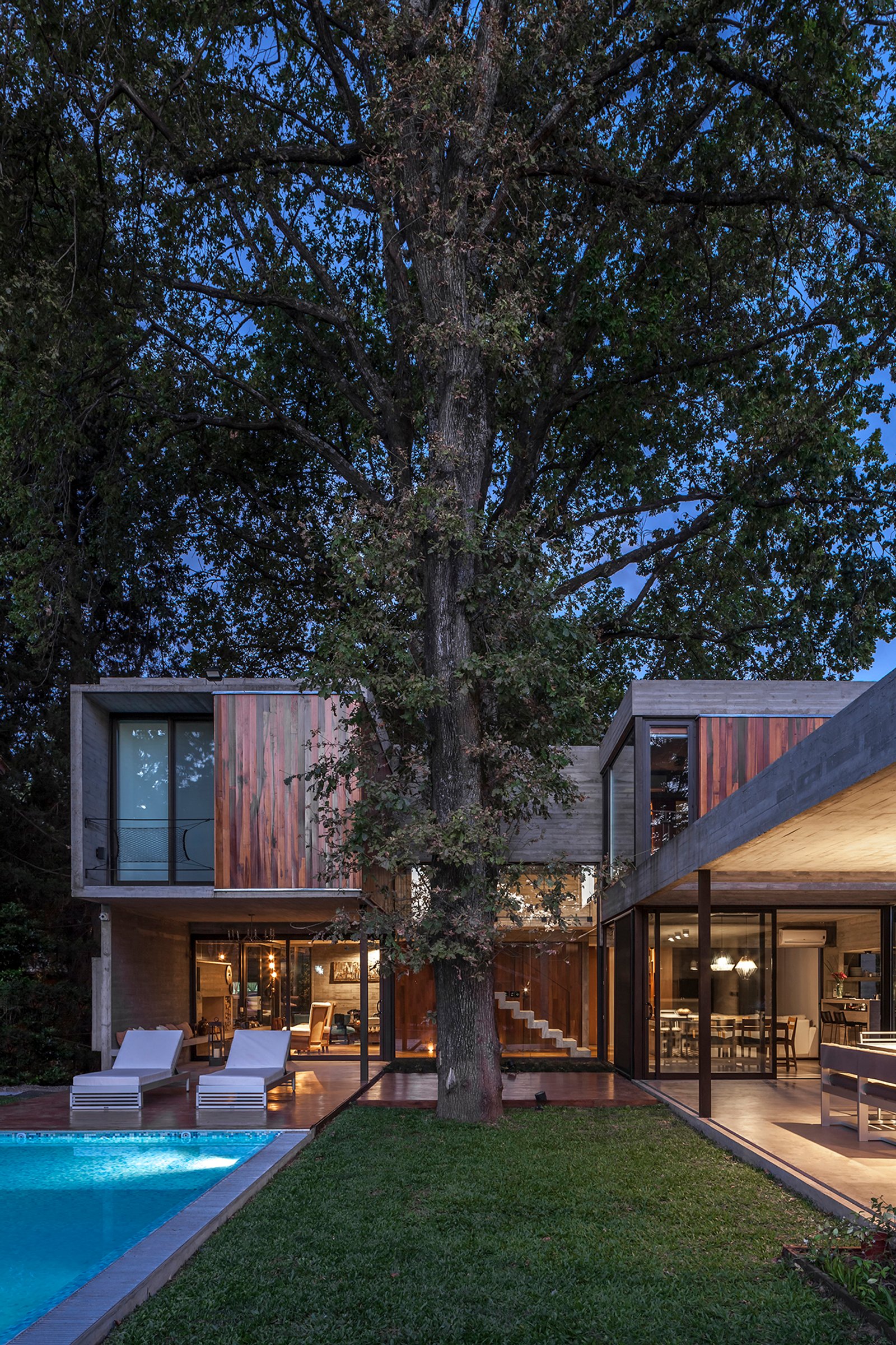 Fachada moderna com árvore integrada e piscina — projeto Casa Aranzazu, por Besonías Almeida arquitectos, em B1667 Tortuguitas