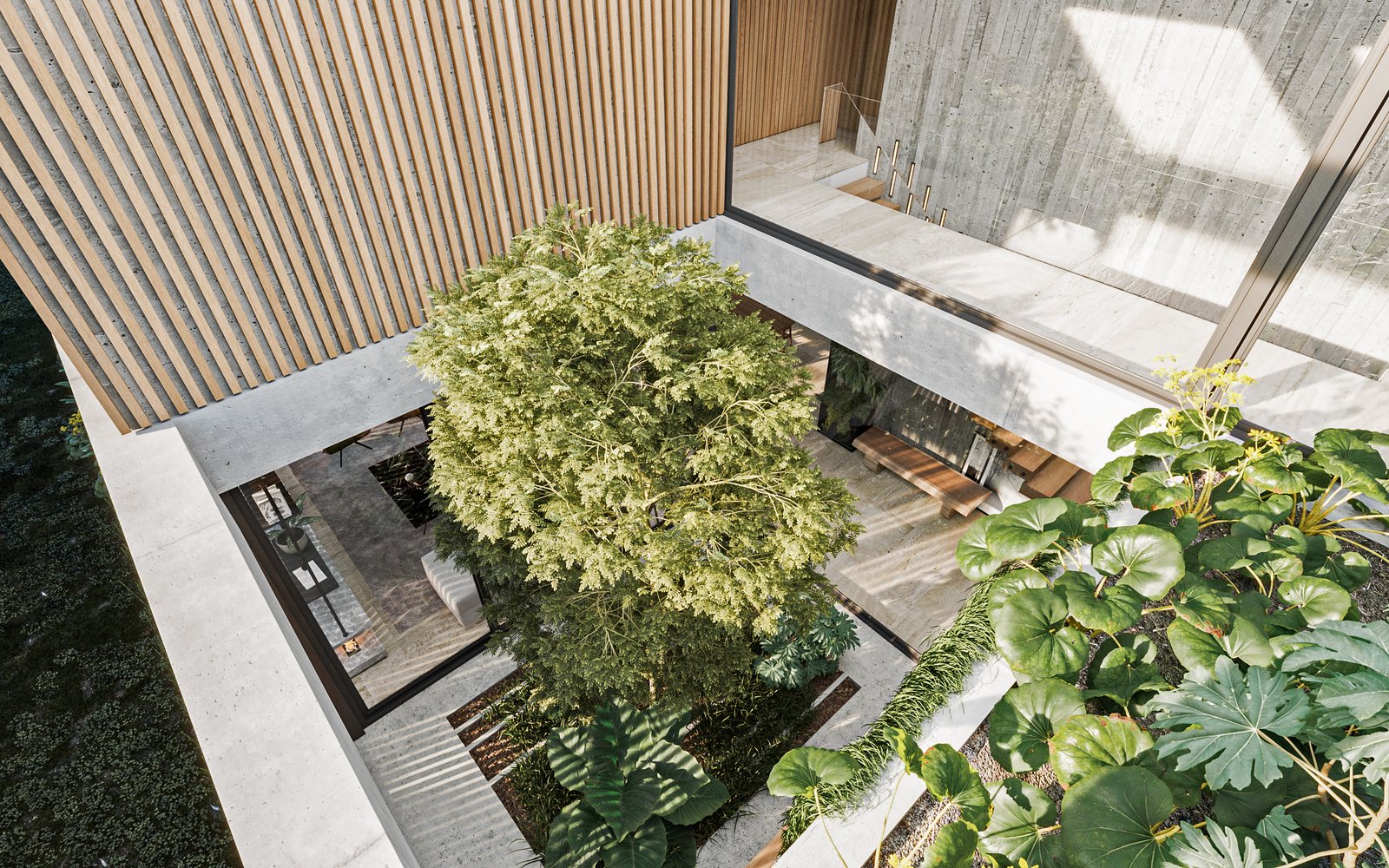 Patio moderno con árbol central y detalles de madera — proyecto Casa PUERTOS, por Grupo CRBN, en Provincia de Buenos Aires