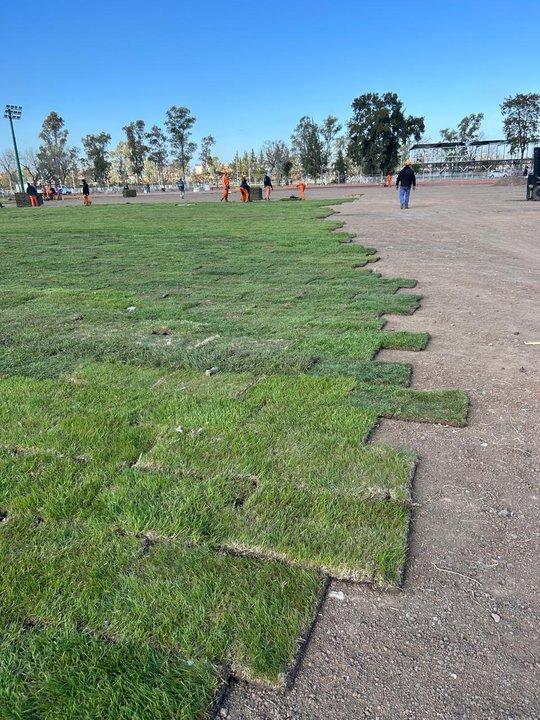Foto del proyecto