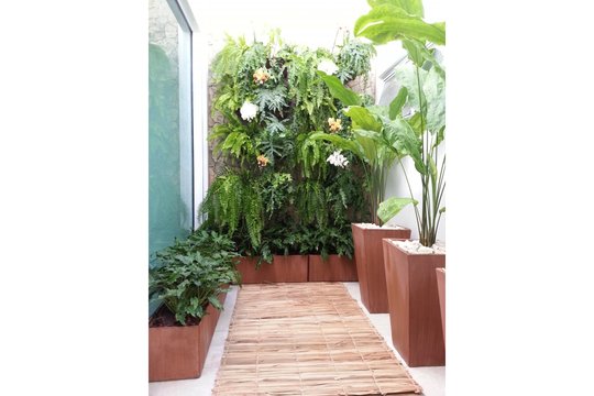 Foto del proyecto