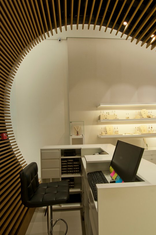 Foto del proyecto