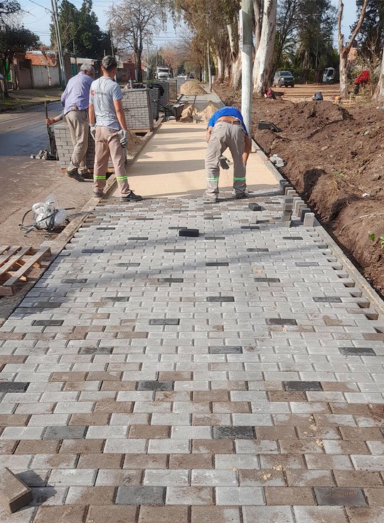 Foto del proyecto