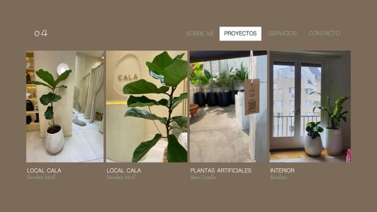 Foto del proyecto