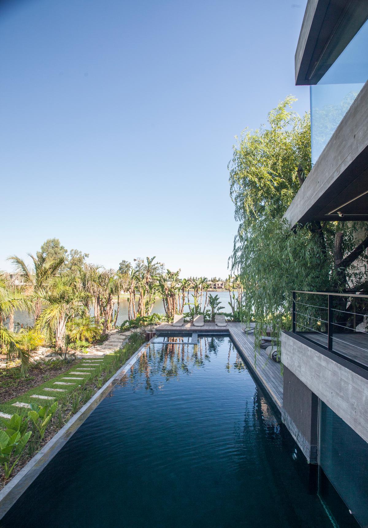 Moderna piscina infinita com vegetação tropical e arquitetura de concreto — projeto Casa Nomade, por Remy Arquitectos, em B1648 Tigre